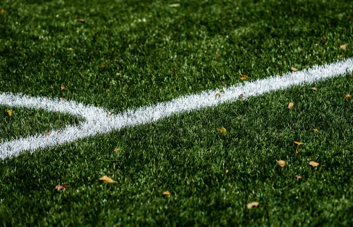 geen konijnen op veiling voetbalclub