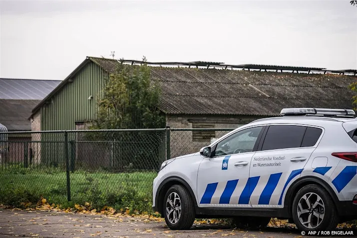 geen nieuwe ophokplicht na nieuwe uitbraak vogelgriep