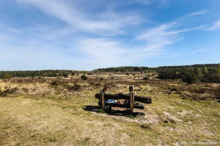 gelderland probeert tapuit naar veluwe te lokken