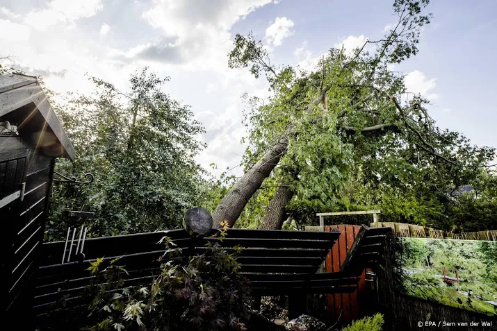 gemeente checkt bossen bij leersum op stormschade