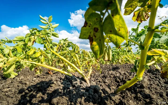 gevolgen droge zomer nog altijd merkbaar