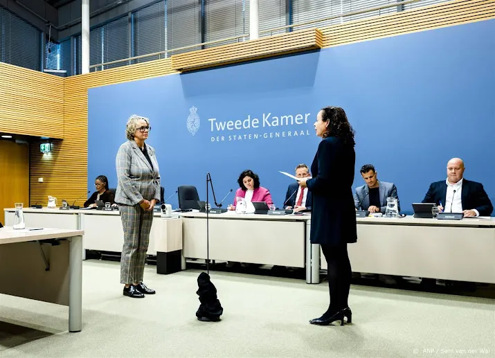 gevolgen van terugvorderen toeslagen zijn niet onderzocht