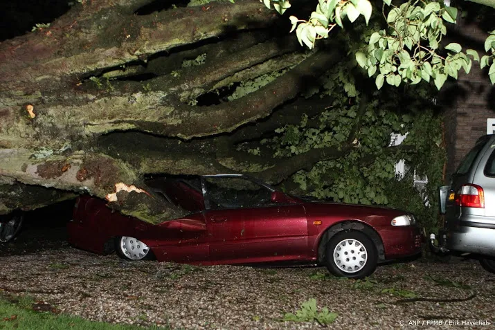 gewonde door boom op auto in geldrop