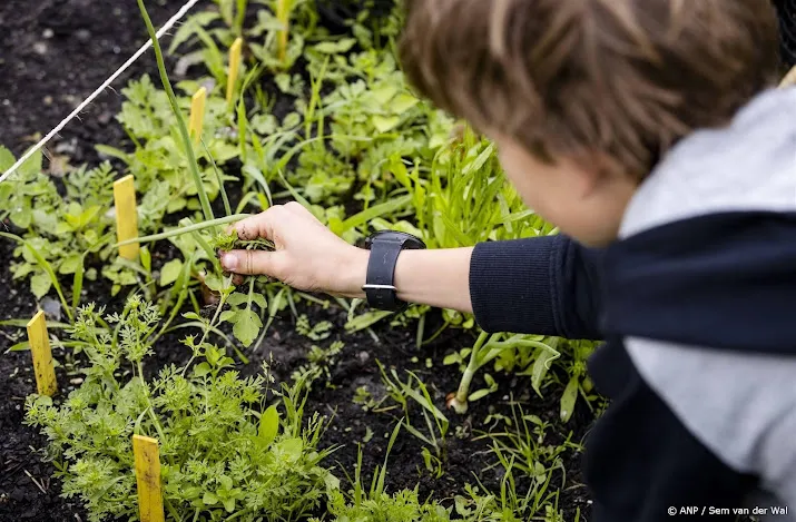 ggd versoepelt pfas advies moestuinen rond vliegveld rotterdam