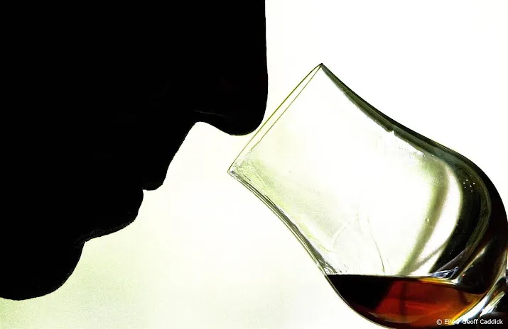 goed jaar voor cognacproducenten ondanks lagere verkoop