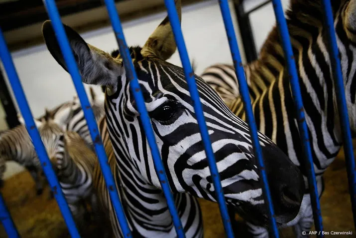 groeiende handel in exotische huisdieren