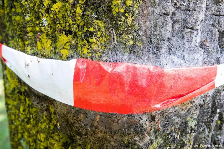 groenbedrijven vuilverbranders weigeren rups
