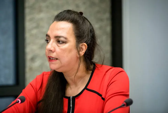 groenlinks wil defensie onder curatele