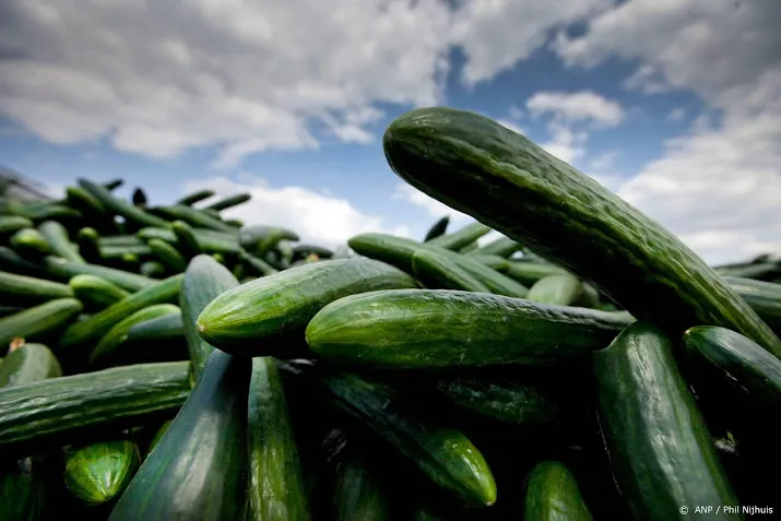 groente en fruit met enige vertraging naar verenigd koninkrijk