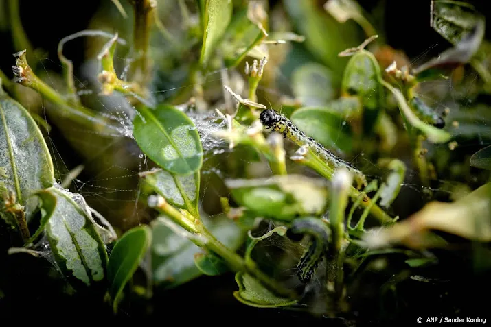 groep wetenschappers waarschuwt voor effect klimaat op insecten