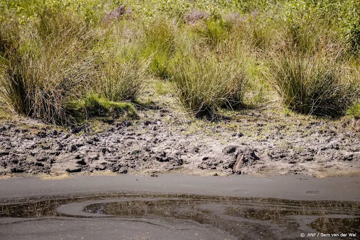 grondwaterstanden herstellen maar nog niet terug naar normaal