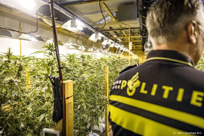 grote actie tegen georganiseerde hennepteelt