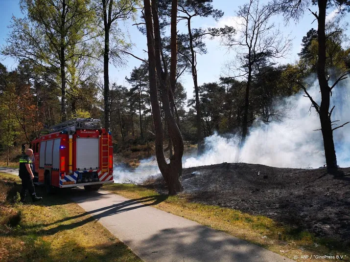 grote brand in nationaal park de meinweg