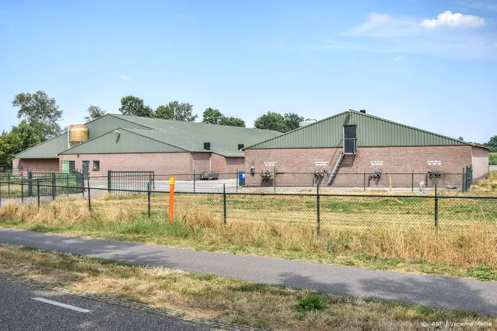 grote brand in varkensstal in asten