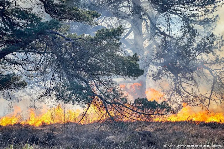 grote natuurbrand in natuurgebied de peel