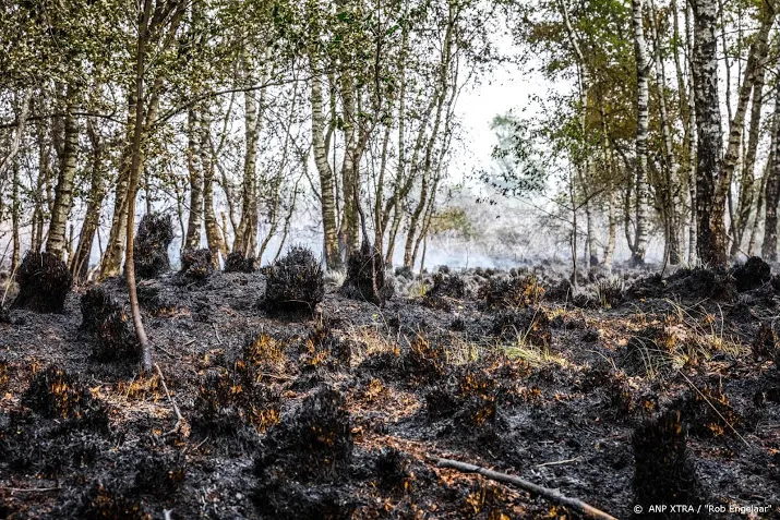 grote natuurbrand in tienray onder controle