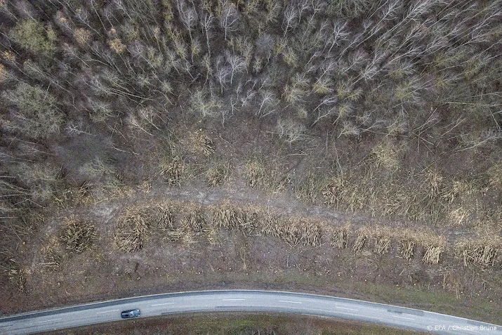 grote partij mogelijk illegaal gekapt hout in beslag genomen