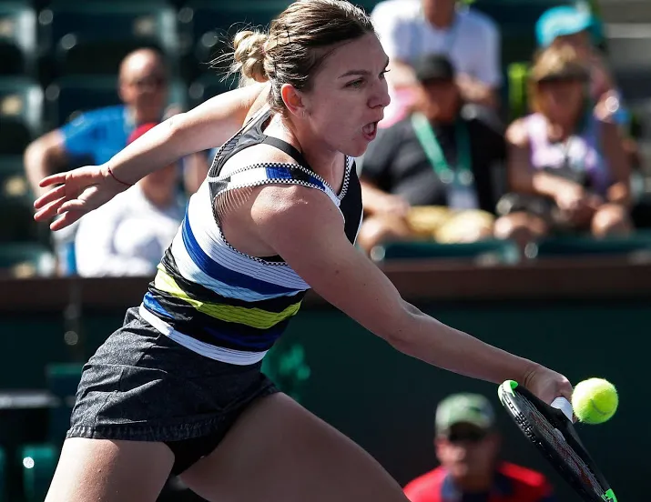 halep terug bij vroegere coach dobre