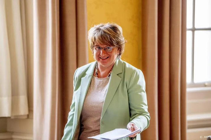 hamer wil snel verslag uitbrengen en legt partijen opties voor