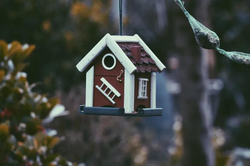 harmen jelle van mourik 0yfwdwhob0g unsplash