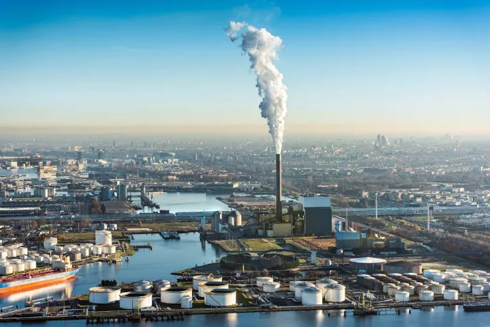 haven amsterdam kijkt terug op sterk jaar