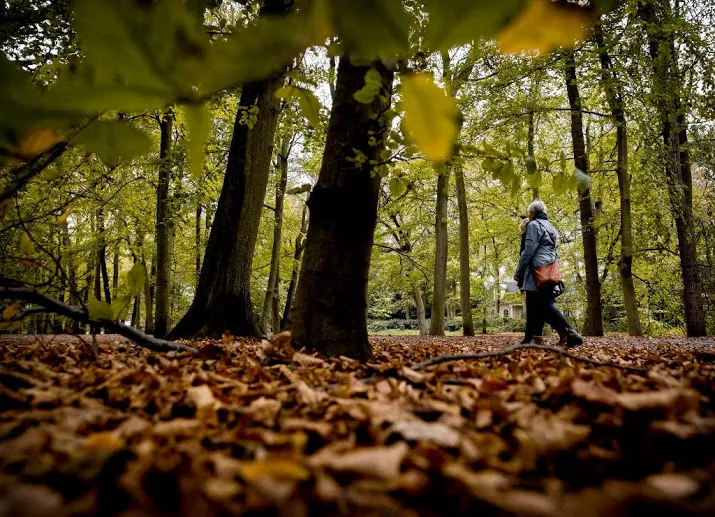 herfst nog nooit zo zonnig