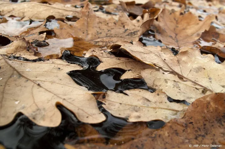 herfstweer met flinke buien in aantocht