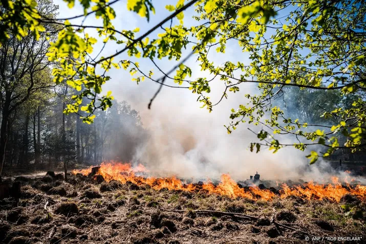 herkenbosch wordt gefaseerd ontruimd om natuurbrand
