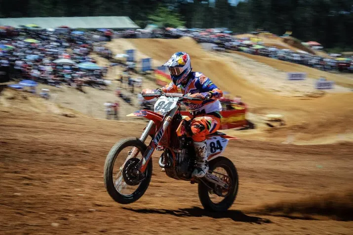 herlings oppermachtig in trentino