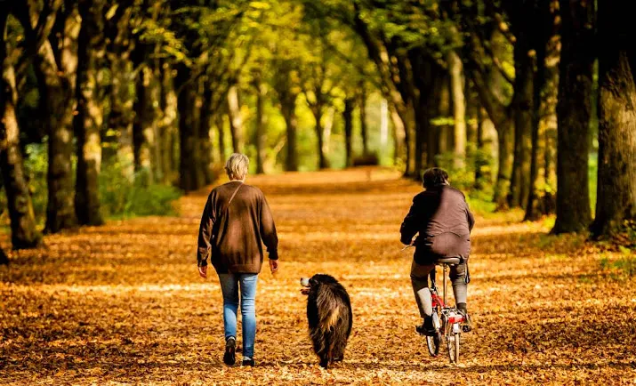 het is al weer herfst volgens weerkundigen