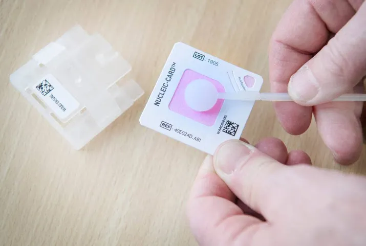 hoge opkomst dna onderzoek heibloem