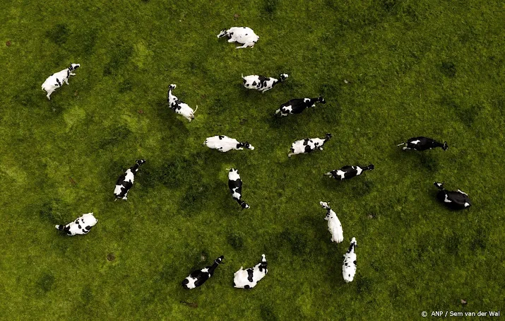hoogleraar verhogen grondwater maakt veeteelt moeilijk