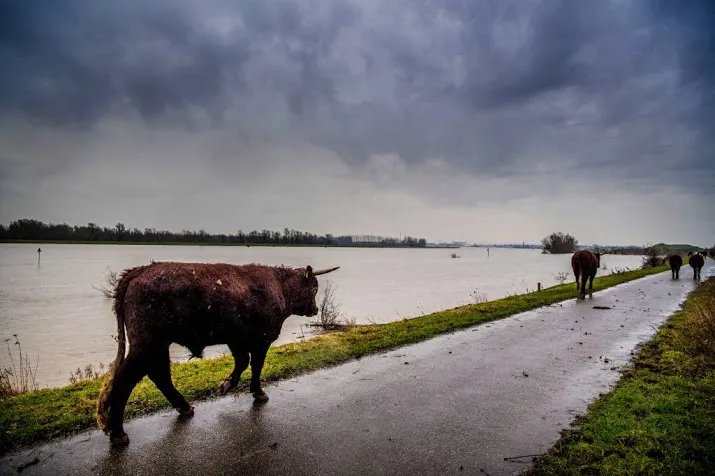 hoogwateroefening bij extreem laagwater