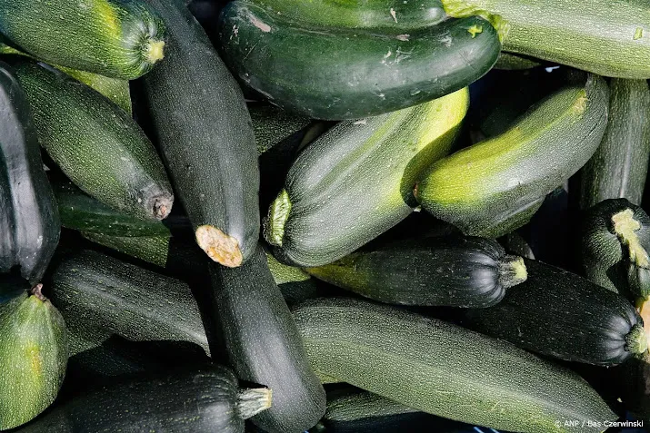 huishoudens gooien dagelijks wereldwijd miljard maaltijden weg