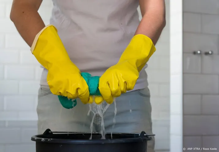 hulp in huishouding vast voor oplichting