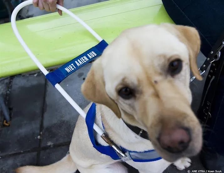 hulphondenorganisatie laat hond thuis bij huldiging feyenoord