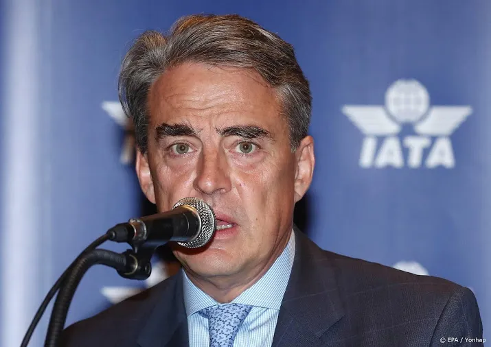 iata autoriteiten verdeeld bij aanpak 737 max