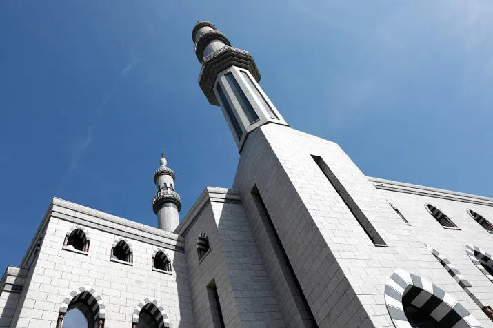 imam rdam wil cartoons met wilders bekijken