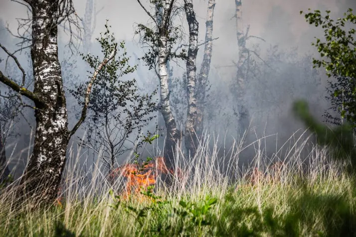 in het oosten weer extra alert op natuurbrand