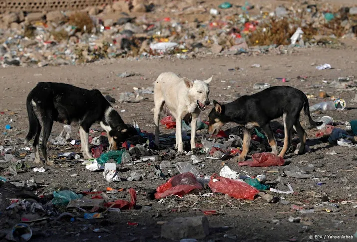 in nederland wordt het oppassen voor rabies