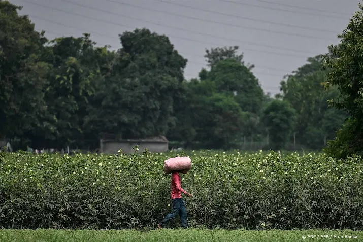 indiaas bedrijf wil met behulp van ai oogsten voorspellen