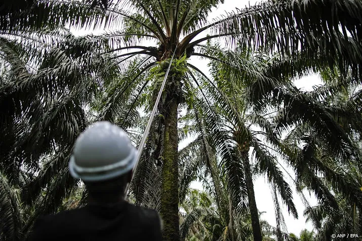 indonesie beboet palmoliebedrijven voor 282 miljoen euro
