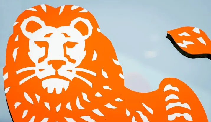 ing neemt meerderheidsbelang in payvision