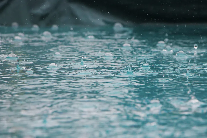 inge maria pv2zldfstxc unsplash