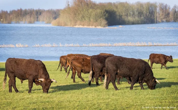 insecticiden in helft van onderzochte poep van grazers
