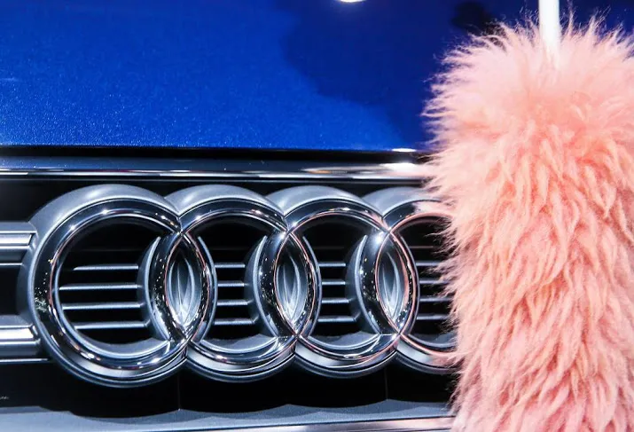 invallen bij twee vestigingen audi