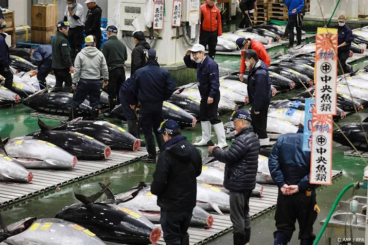 jaarlijks geveilde blauwvintonijn tokio levert meer dan 7 ton op
