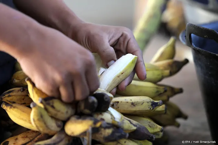 japanse onderzoekers leren robot om bananen te pellen