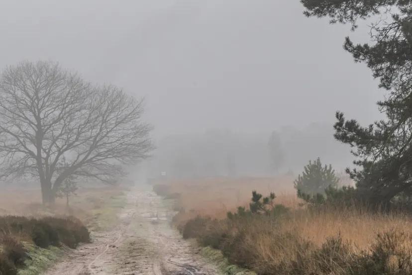 jos hebben altweerterheide