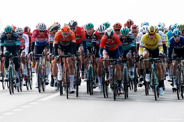 jumbo visma laat zich gelden in wevelgem